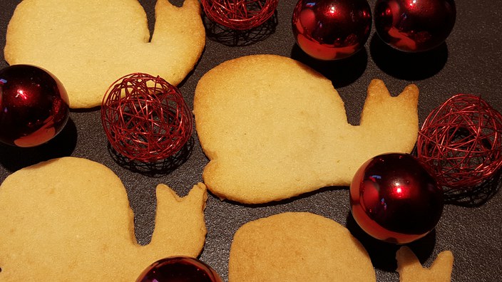 Mitgliederversammlung 2026