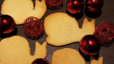 Mitgliederversammlung 2026