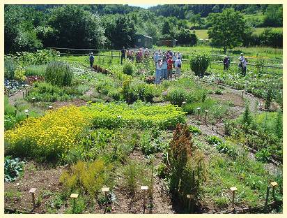con_goe_bilder-schaugarten.jpg