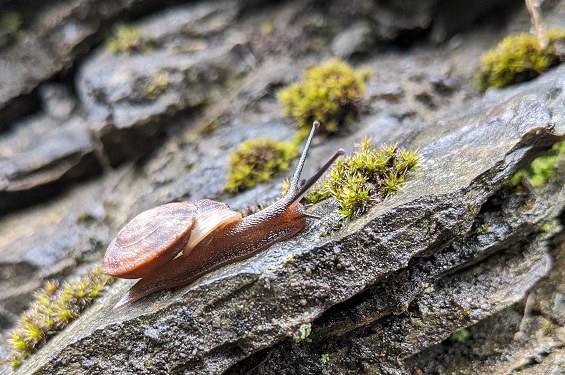 3. Offene Tafelrunde des Convivium Hamburg