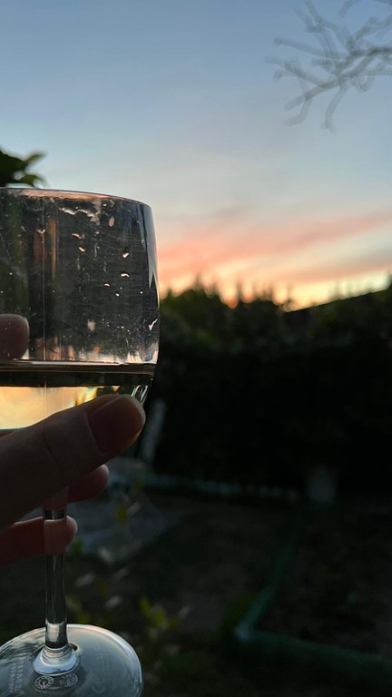 weinglas im Sonnenuntergang.jpg