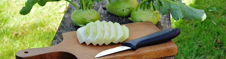 kohlrabi 4-1.png