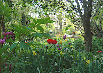 Blick-in-denWeissdorngarten-3.jpg