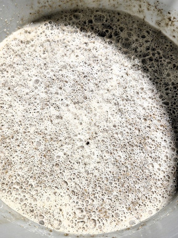 Der Sauerteig als Anstellgut für den nächsten Teigansatz