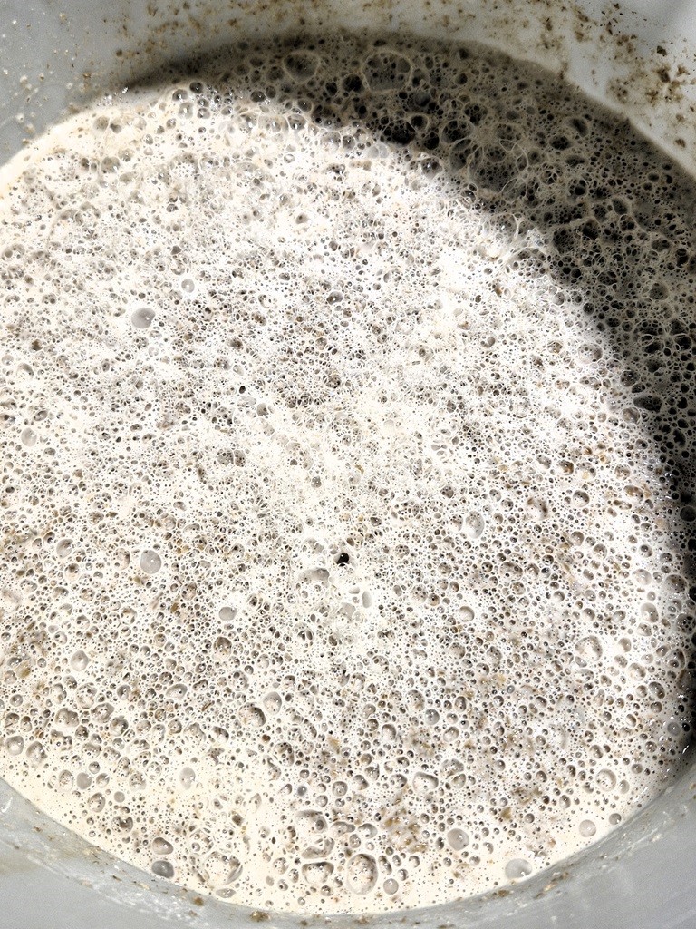Sauerteig-Anstellgut