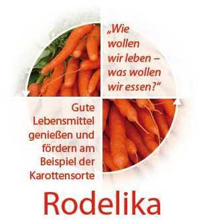 con_ka_b288-rodelika-kreislauf_flyer_o_blueten.jpg