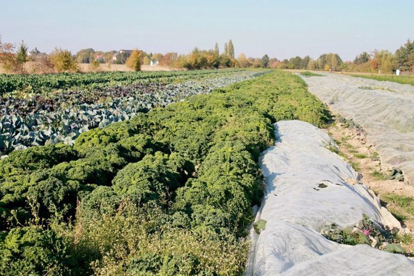 Gartenbau Linke-Hof