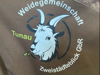 IMG_3803.jpeg