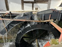 IMG_7312.jpeg
