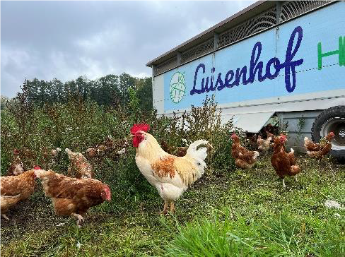 Luisenhof in Wiebendorf: Machen Sie eine BIO-Landpartie!