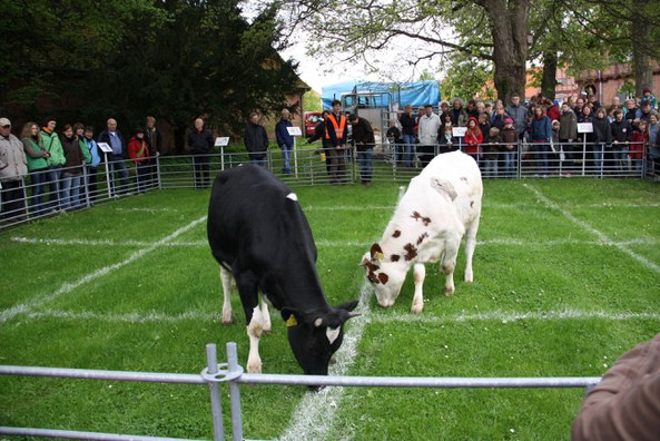 Trenthorst e.V.: Zukunftskommission Landwirtschaft