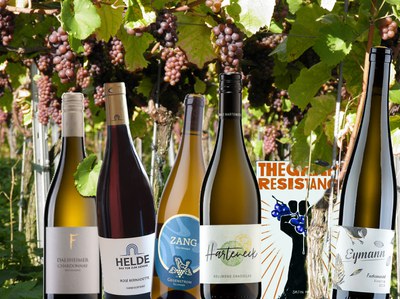 Getränkeverkostung am Terra Madre Tag