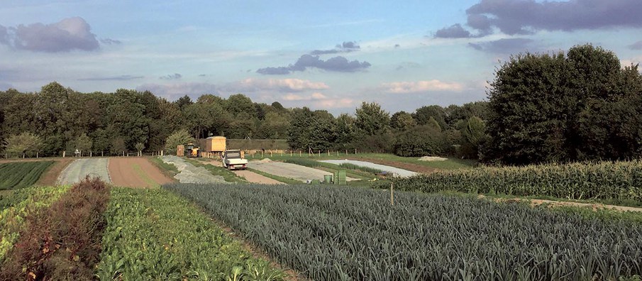 Hofbesuch Solawi Krumbecker Hof