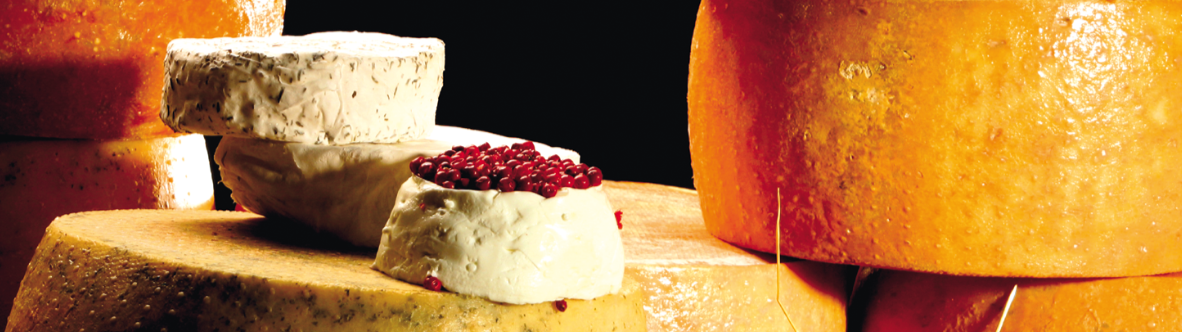 Lüneburg - Heide - Wendland