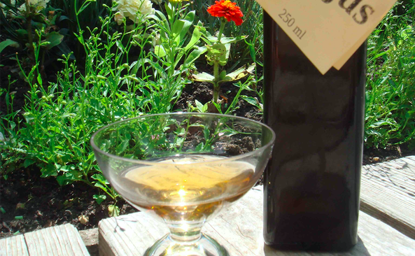 con_mfh_b288-verjus3.png con_mfh_b288-verjus3.png