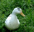 con_mr-ente2.jpg