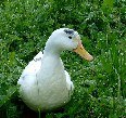 con_mr-ente2.jpg