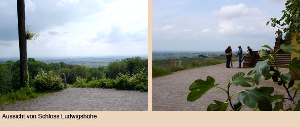 Blick von Schloss Ludwigshöhe