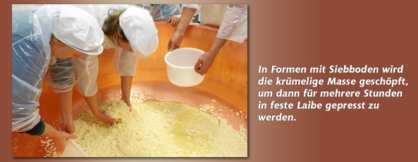 Die krümelige Käsemasse wird in Formen mit Siebboden aus dem großen Bottich herausgeschöpft.