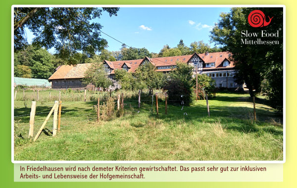 Das Hofgut Friedelhausen liegt an einem heißen Hochsommertag in strahlendem Sonnenschein