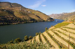 con_mr-resized_weinberg_douro.jpg