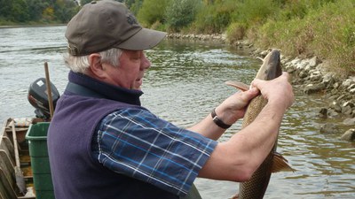 Bei den Donaufischern 2012