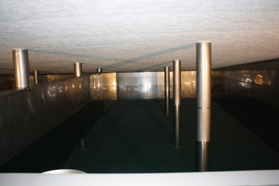 Wasser aus dem Wald Wasser aus dem Wald