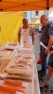 Markt der Erde in Horn (Waldviertel)