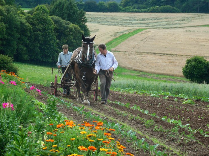 Hufmann Oberellenbach_Solawi Landarbeit.jpg