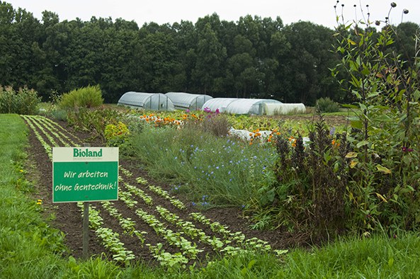 Kommune Niederkaufungen_Garten.jpg