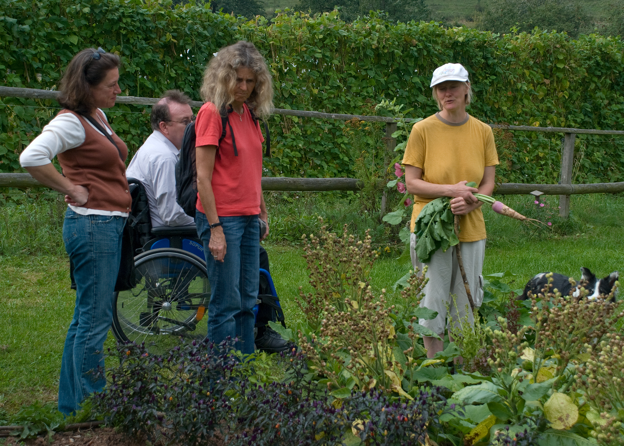 Gerhard Schneider-Rose_Dreschflegel_20090920-019.jpg