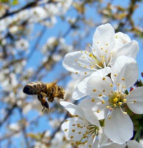 con_n_b288-68174_web_r_k_b_by_verena_n._pixelio.de.jpg con_n_b288-68174_web_r_k_b_by_verena_n._pixelio.de.jpg