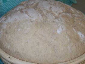 Hefeteig.jpg
