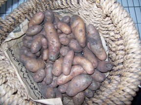 con_n_b288-kartoffeln.jpg con_n_b288-kartoffeln.jpg
