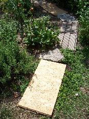 con_n_b288-sinnesparcours_1.jpg con_n_b288-sinnesparcours_1.jpg