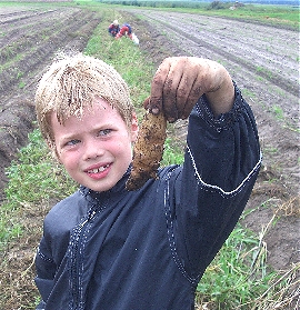 oldenburg-kiko_kart2.jpg