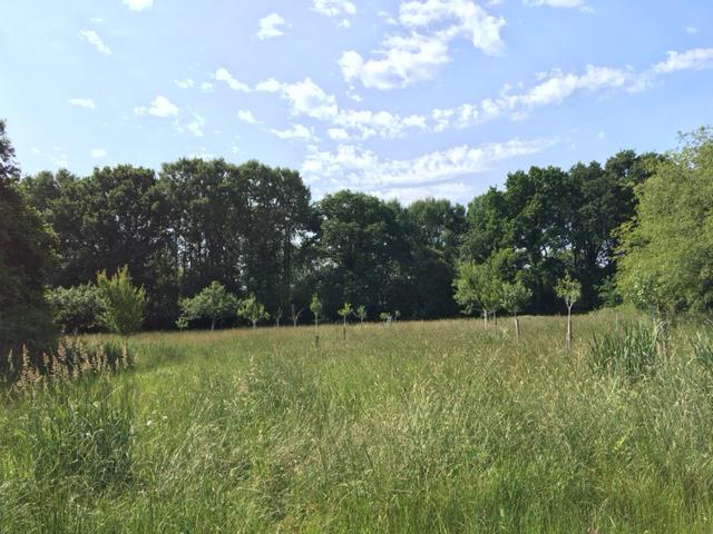 IMG_1076.JPG