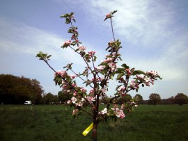 oldenburg-pict0400_.jpg