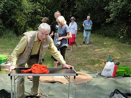 oldenburg-sow_picknck2.jpg