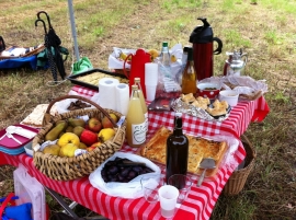 oldenburg-sow_picknick_1_11.jpg