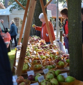 oldenburg-artefaktapfel.jpg