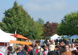 oldenburg-gin.jpg oldenburg-gin.jpg