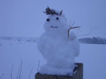 oldenburg-schneemann.jpg