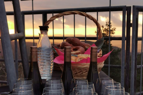 Pfälzer Klimagipfel - Besuch auf dem Kalmitturm