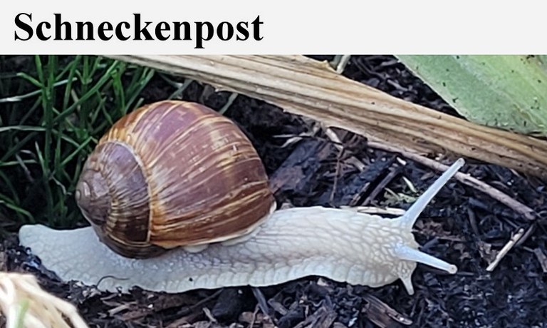 Schneckenpost800.480x.jpg