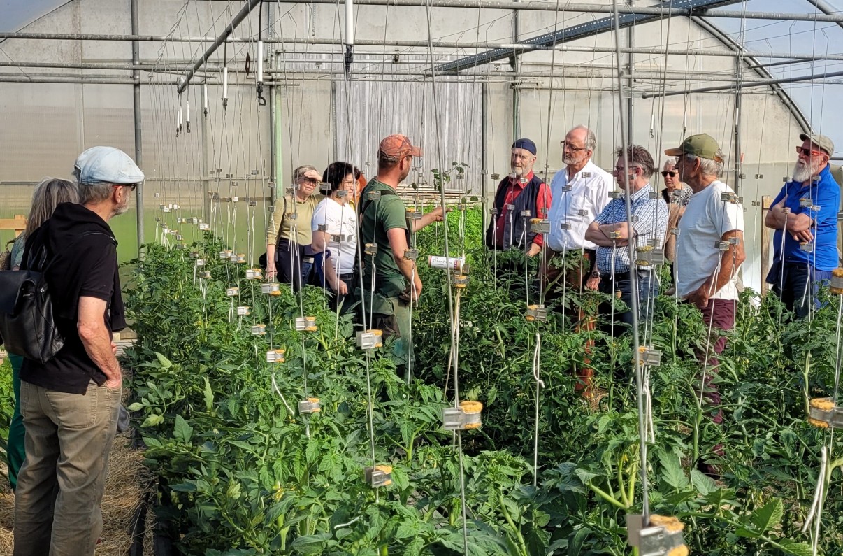 Simmlhof1206.795.jpg