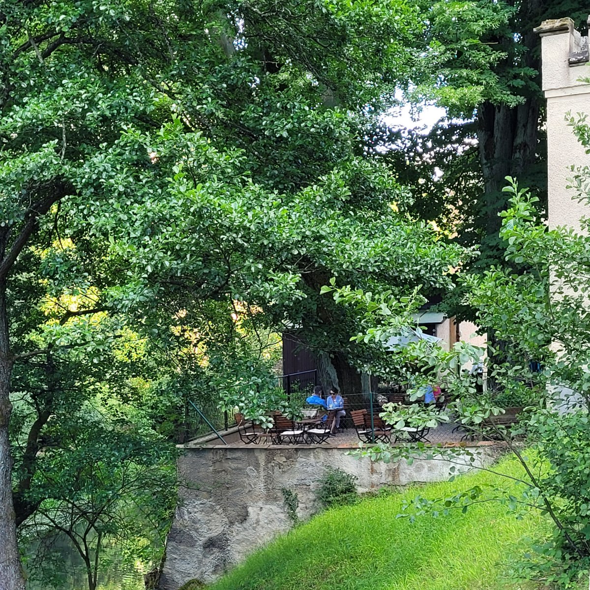 Eichhofen6.2023Garten