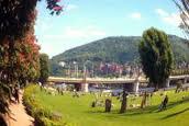 heidelberg-theo.jpg heidelberg-theo.jpg