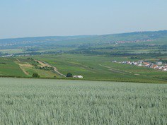 Rheinhessen