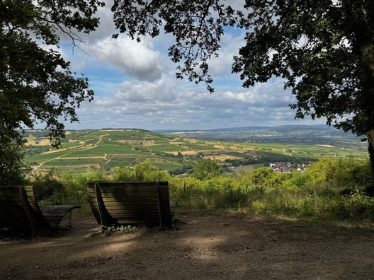 Termine Slow Food Rheinhessen